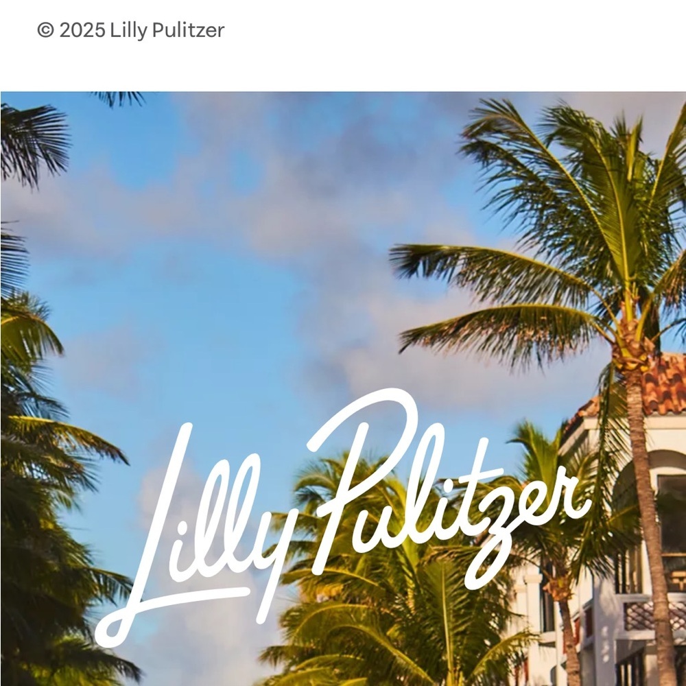 Lilly Pulitzer Khaki Chino Palm Beach Fit Tan Pants Low rise Preppy Minimalist - Picture 5 of 7